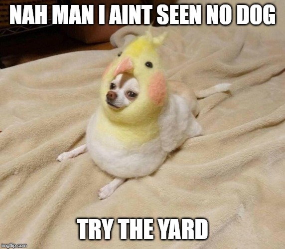 NAH MAN I AINT SEEN NO DOG TRY THE YARD | made w/ Imgflip meme maker