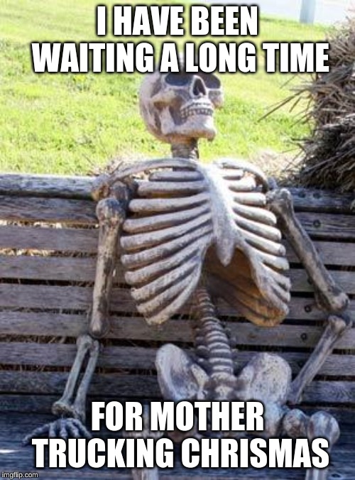 Waiting Skeleton | I HAVE BEEN WAITING A LONG TIME; FOR MOTHER TRUCKING CHRISMAS | image tagged in memes,waiting skeleton | made w/ Imgflip meme maker