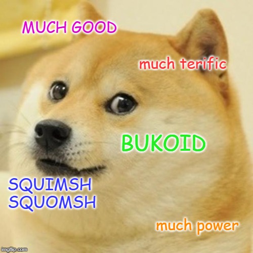 Doge | MUCH GOOD; much terific; BUKOID; SQUIMSH SQUOMSH; much power | image tagged in memes,doge | made w/ Imgflip meme maker