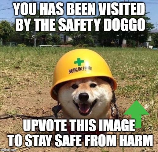 Safety doggo | YOU HAS BEEN VISITED BY THE SAFETY DOGGO; UPVOTE THIS IMAGE TO STAY SAFE FROM HARM | image tagged in safety doggo | made w/ Imgflip meme maker