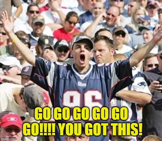 Sports Fans | GO GO GO GO GO GO!!!! YOU GOT THIS! | image tagged in sports fans | made w/ Imgflip meme maker