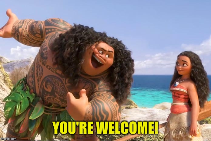 Moana Maui You're Welcome | YOU'RE WELCOME! | image tagged in moana maui you're welcome | made w/ Imgflip meme maker