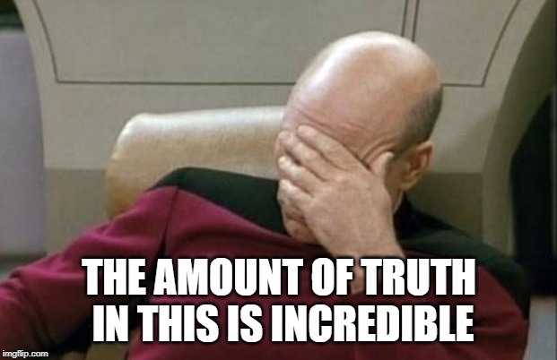 Captain Picard Facepalm Meme | THE AMOUNT OF TRUTH IN THIS IS INCREDIBLE | image tagged in memes,captain picard facepalm | made w/ Imgflip meme maker