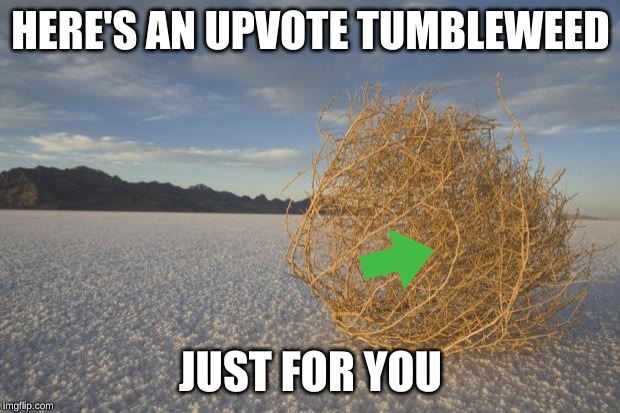 Tumbleweed  | HERE'S AN UPVOTE TUMBLEWEED JUST FOR YOU | image tagged in tumbleweed | made w/ Imgflip meme maker