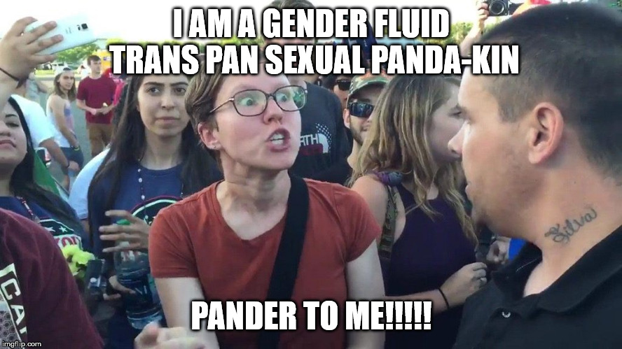 Triggered SJW | I AM A GENDER FLUID TRANS PAN SEXUAL PANDA-KIN; PANDER TO ME!!!!! | image tagged in triggered sjw | made w/ Imgflip meme maker