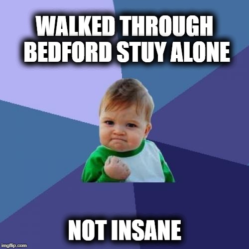 You May Be Right! | WALKED THROUGH BEDFORD STUY ALONE; NOT INSANE | image tagged in success kid,billy joel | made w/ Imgflip meme maker