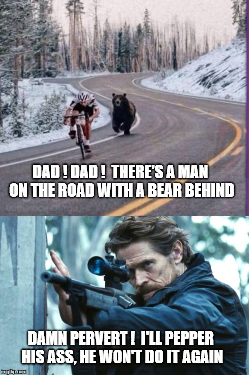 indecent exposure | DAD ! DAD !  THERE'S A MAN ON THE ROAD WITH A BEAR BEHIND; DAMN PERVERT !  I'LL PEPPER HIS ASS, HE WON'T DO IT AGAIN | image tagged in bear,gun | made w/ Imgflip meme maker