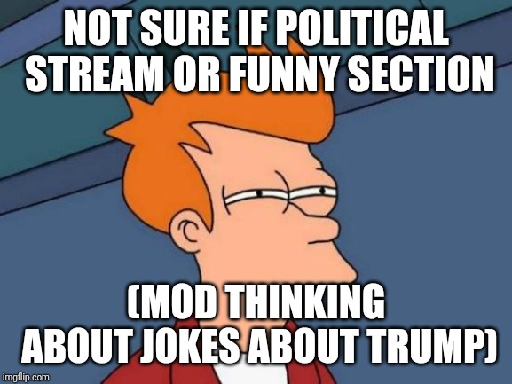 Futurama Fry | NOT SURE IF POLITICAL STREAM OR FUNNY SECTION; (MOD THINKING ABOUT JOKES ABOUT TRUMP) | image tagged in memes,futurama fry | made w/ Imgflip meme maker