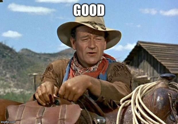 John wayne | GOOD | image tagged in john wayne | made w/ Imgflip meme maker