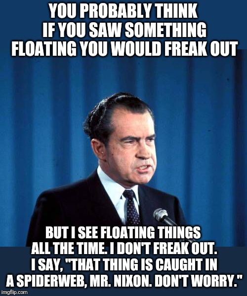 richard nixon is tired of talking about watergate | YOU PROBABLY THINK IF YOU SAW SOMETHING FLOATING YOU WOULD FREAK OUT; BUT I SEE FLOATING THINGS ALL THE TIME. I DON'T FREAK OUT. I SAY, "THAT THING IS CAUGHT IN A SPIDERWEB, MR. NIXON. DON'T WORRY." | image tagged in richard nixon is tired of talking about watergate,shittyadviceanimals | made w/ Imgflip meme maker