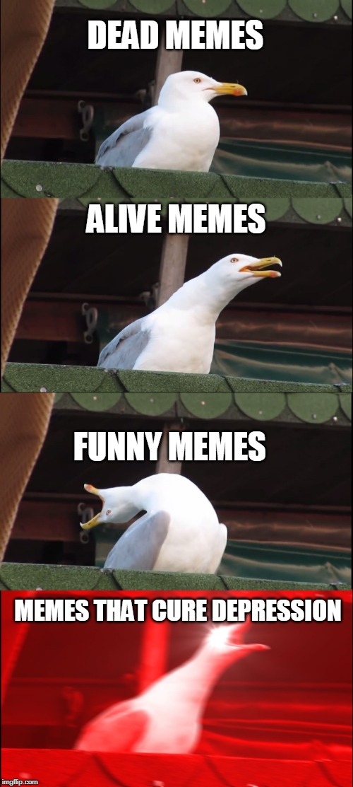 Inhaling Seagull Meme | DEAD MEMES; ALIVE MEMES; FUNNY MEMES; MEMES THAT CURE DEPRESSION | image tagged in memes,inhaling seagull | made w/ Imgflip meme maker