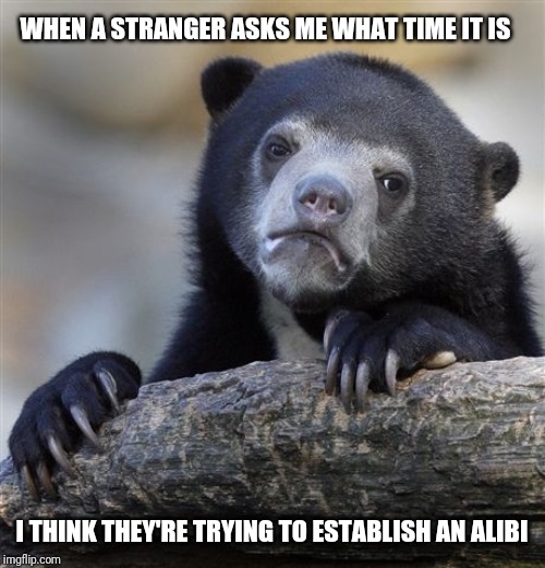 Confession Bear Meme | WHEN A STRANGER ASKS ME WHAT TIME IT IS; I THINK THEY'RE TRYING TO ESTABLISH AN ALIBI | image tagged in memes,confession bear | made w/ Imgflip meme maker
