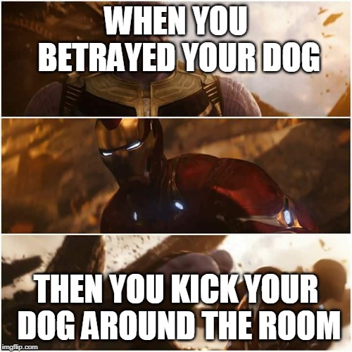 thanos and iron man | WHEN YOU BETRAYED YOUR DOG; THEN YOU KICK YOUR DOG AROUND THE ROOM | image tagged in thanos and iron man | made w/ Imgflip meme maker