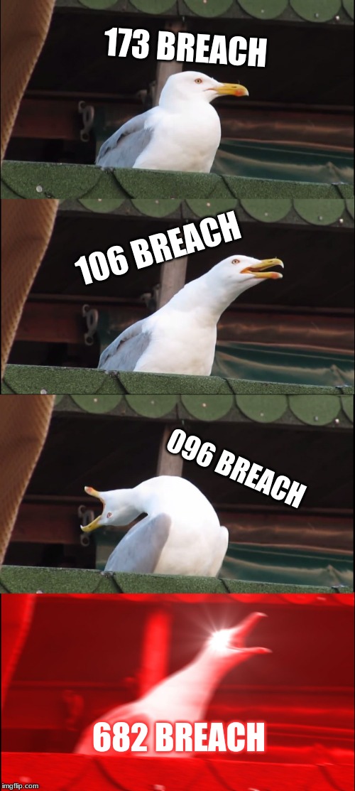 SCP Breach Levels | 173 BREACH; 106 BREACH; 096 BREACH; 682 BREACH | image tagged in memes,inhaling seagull,scp meme | made w/ Imgflip meme maker