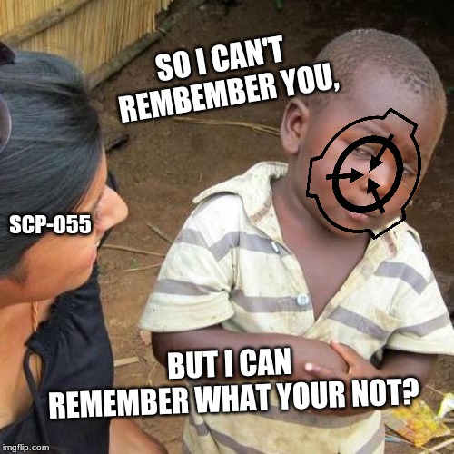 Skeptical SCP:F | SO I CAN'T REMBEMBER YOU, SCP-055; BUT I CAN REMEMBER WHAT YOUR NOT? | image tagged in third world skeptical kid,scp meme,memes | made w/ Imgflip meme maker