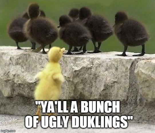 "YA'LL A BUNCH OF UGLY DUKLINGS" | made w/ Imgflip meme maker