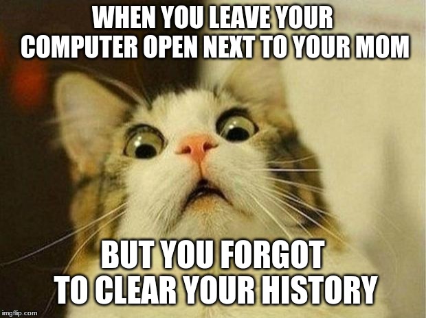 Scared Cat | WHEN YOU LEAVE YOUR COMPUTER OPEN NEXT TO YOUR MOM; BUT YOU FORGOT TO CLEAR YOUR HISTORY | image tagged in memes,scared cat | made w/ Imgflip meme maker