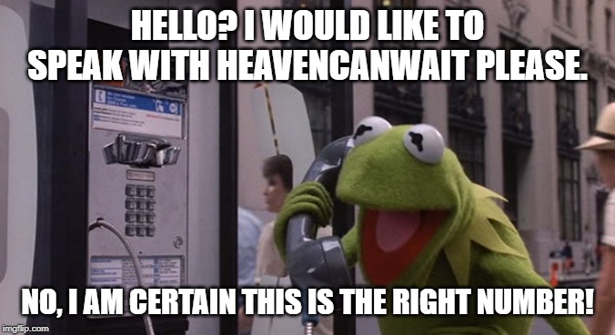 Kermit Phone | HELLO? I WOULD LIKE TO SPEAK WITH HEAVENCANWAIT PLEASE. NO, I AM CERTAIN THIS IS THE RIGHT NUMBER! | image tagged in kermit phone | made w/ Imgflip meme maker