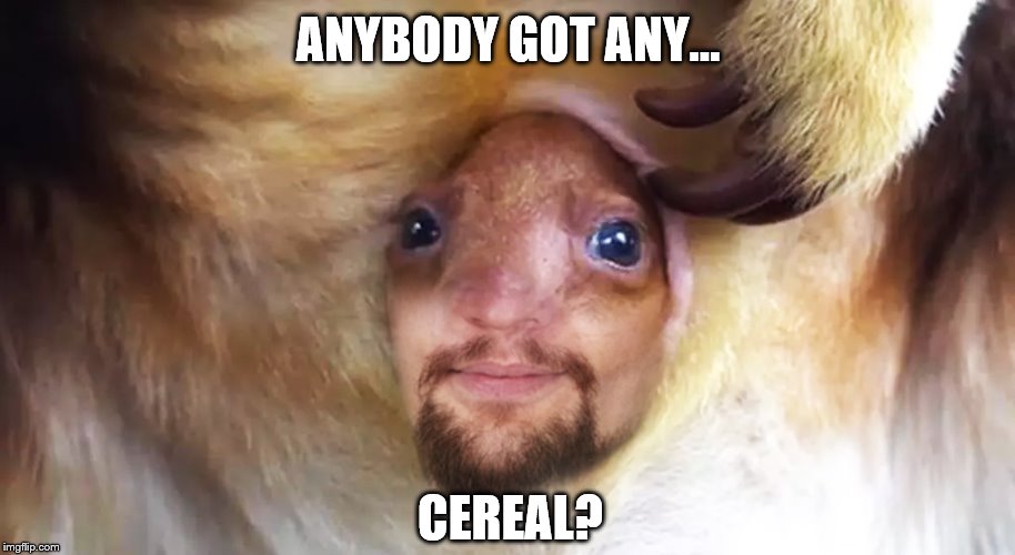 Over 30 and still living with mum... | ANYBODY GOT ANY... CEREAL? | image tagged in old,funny,memes,sad,truth | made w/ Imgflip meme maker