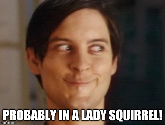 Spiderman Peter Parker Meme | PROBABLY IN A LADY SQUIRREL! | image tagged in memes,spiderman peter parker | made w/ Imgflip meme maker