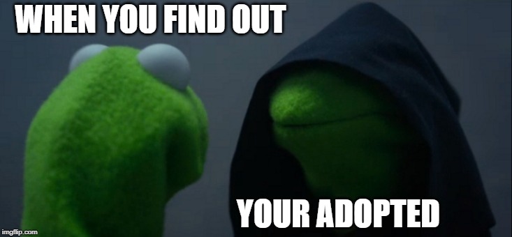Evil Kermit | WHEN YOU FIND OUT; YOUR ADOPTED | image tagged in memes,evil kermit | made w/ Imgflip meme maker