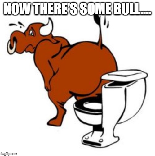 I smell BULL SHIT! | NOW THERE'S SOME BULL.... | image tagged in i smell bull shit | made w/ Imgflip meme maker