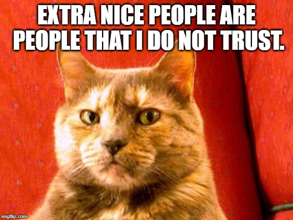 Suspicious Cat Meme | EXTRA NICE PEOPLE ARE PEOPLE THAT I DO NOT TRUST. | image tagged in memes,suspicious cat | made w/ Imgflip meme maker