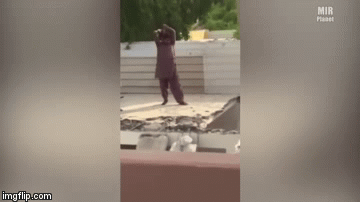 Wait for it | image tagged in gifs,dumb | made w/ Imgflip video-to-gif maker