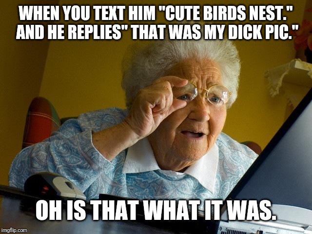 Grandma Finds The Internet Meme | WHEN YOU TEXT HIM "CUTE BIRDS NEST." AND HE REPLIES" THAT WAS MY DICK PIC."; OH IS THAT WHAT IT WAS. | image tagged in memes,grandma finds the internet | made w/ Imgflip meme maker