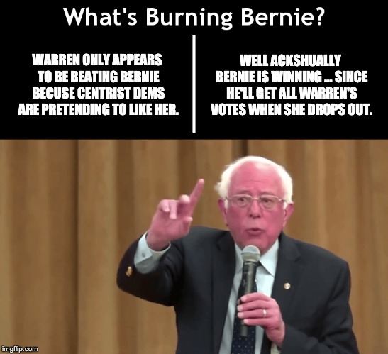 What's Burning Bernie | WARREN ONLY APPEARS TO BE BEATING BERNIE BECUSE CENTRIST DEMS ARE PRETENDING TO LIKE HER. WELL ACKSHUALLY BERNIE IS WINNING ... SINCE HE'LL GET ALL WARREN'S VOTES WHEN SHE DROPS OUT. | image tagged in what's burning bernie | made w/ Imgflip meme maker