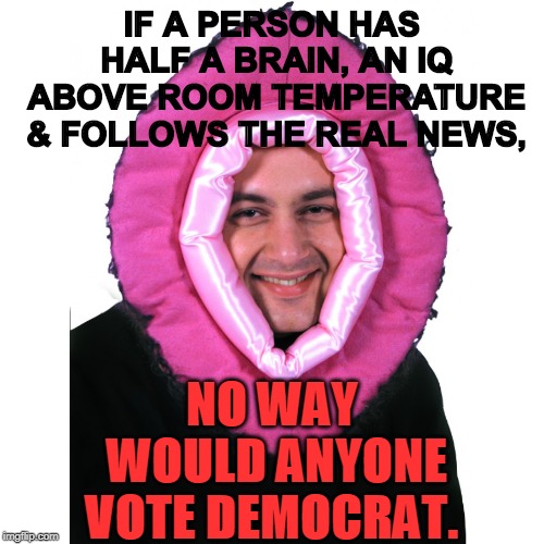 Vote against insanity in 2020!! | IF A PERSON HAS HALF A BRAIN, AN IQ ABOVE ROOM TEMPERATURE & FOLLOWS THE REAL NEWS, NO WAY WOULD ANYONE VOTE DEMOCRAT. | image tagged in politics | made w/ Imgflip meme maker