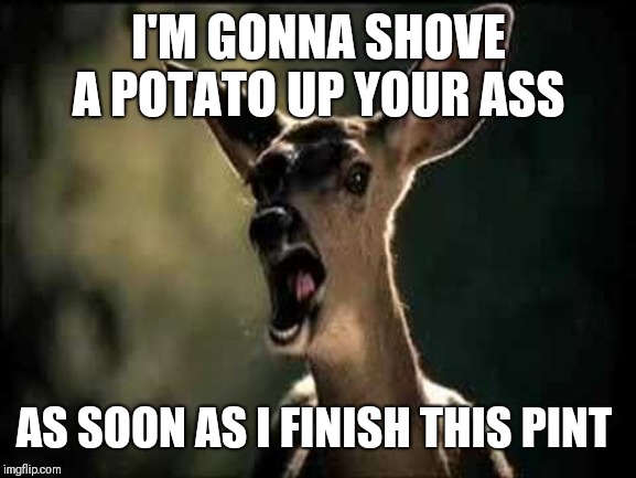 Deer Scream | I'M GONNA SHOVE A POTATO UP YOUR ASS AS SOON AS I FINISH THIS PINT | image tagged in deer scream | made w/ Imgflip meme maker