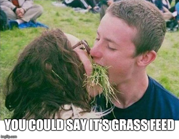 vegan kiss | YOU COULD SAY IT'S GRASS FEED | image tagged in vegan kiss | made w/ Imgflip meme maker