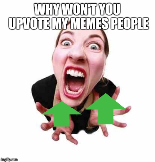 Woman screaming  | WHY WON'T YOU UPVOTE MY MEMES PEOPLE | image tagged in woman screaming | made w/ Imgflip meme maker