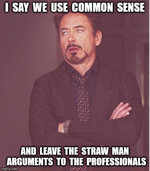 Face You Make Robert Downey Jr Meme | I  SAY  WE  USE  COMMON  SENSE AND  LEAVE  THE  STRAW  MAN  ARGUMENTS  TO  THE  PROFESSIONALS | image tagged in memes,face you make robert downey jr | made w/ Imgflip meme maker