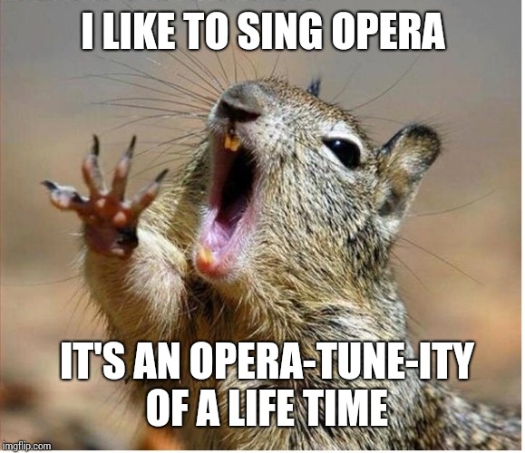 Squirrel Screaming | I LIKE TO SING OPERA; IT'S AN OPERA-TUNE-ITY OF A LIFE TIME | image tagged in squirrel screaming | made w/ Imgflip meme maker