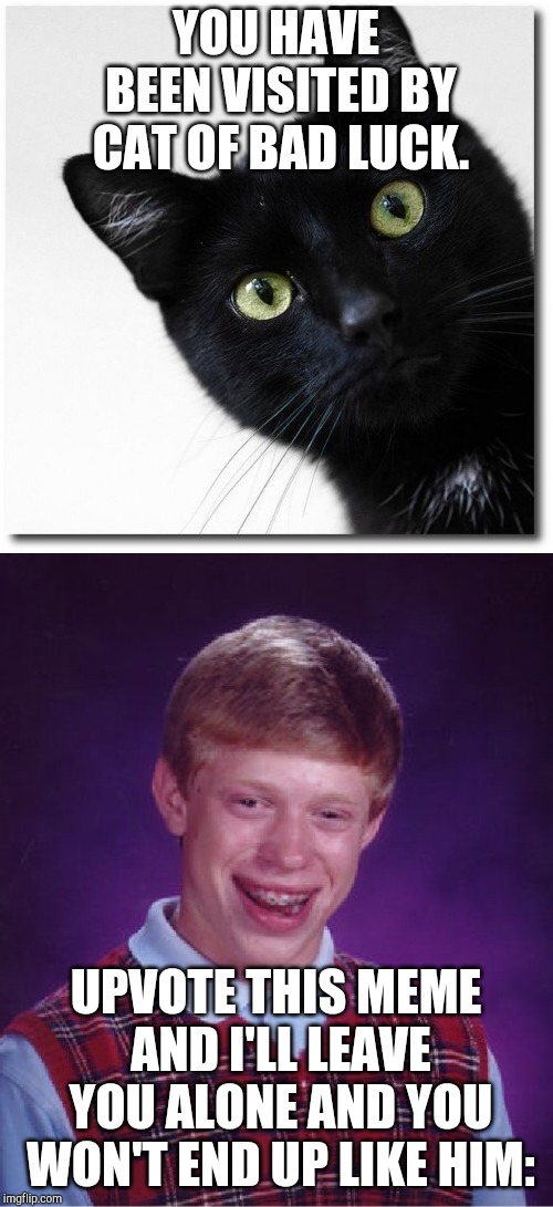 YOU HAVE BEEN VISITED BY CAT OF BAD LUCK. UPVOTE THIS MEME AND I'LL LEAVE YOU ALONE AND YOU WON'T END UP LIKE HIM: | image tagged in black cats matter | made w/ Imgflip meme maker