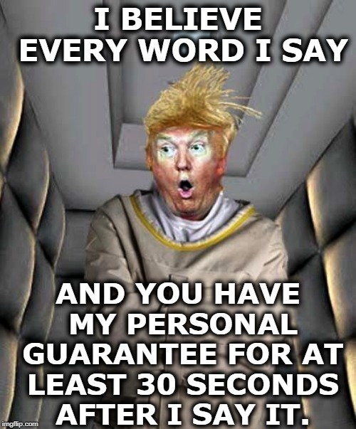 30 seconds, huh? | I BELIEVE EVERY WORD I SAY; AND YOU HAVE MY PERSONAL GUARANTEE FOR AT LEAST 30 SECONDS AFTER I SAY IT. | image tagged in trump,honesty,integrity,slimeball | made w/ Imgflip meme maker