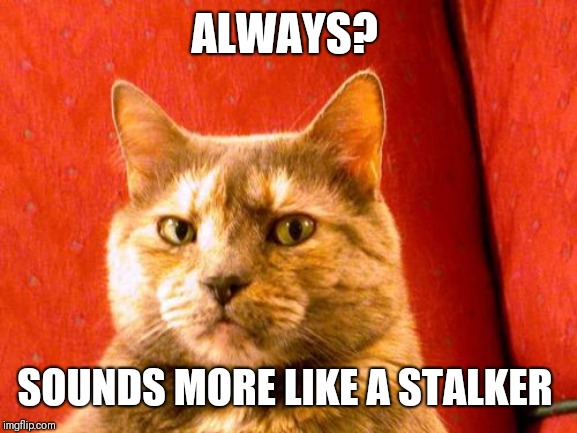 Suspicious Cat Meme | ALWAYS? SOUNDS MORE LIKE A STALKER | image tagged in memes,suspicious cat | made w/ Imgflip meme maker