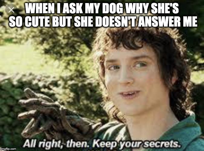 All Right Then, Keep Your Secrets | WHEN I ASK MY DOG WHY SHE'S SO CUTE BUT SHE DOESN'T ANSWER ME | image tagged in all right then keep your secrets | made w/ Imgflip meme maker