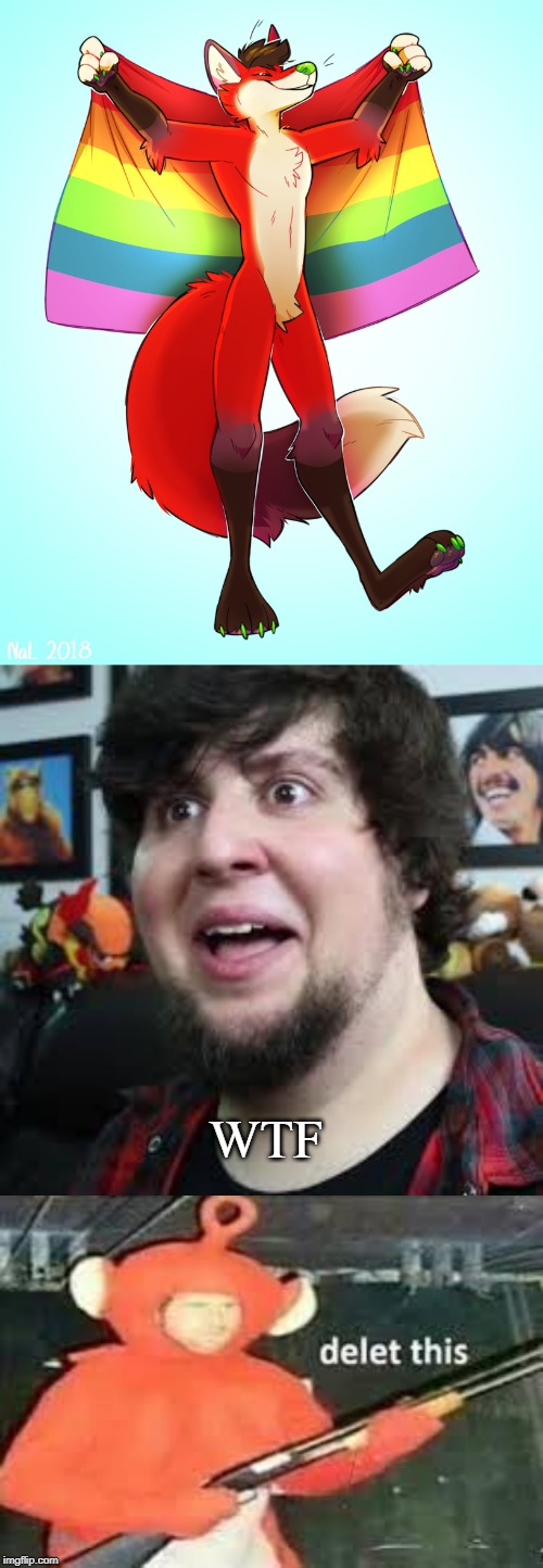 reeeeee no gay furfahg | WTF | image tagged in jontron surprised,screw your mom,anti furry,gays suck,teletubbies,delet this | made w/ Imgflip meme maker