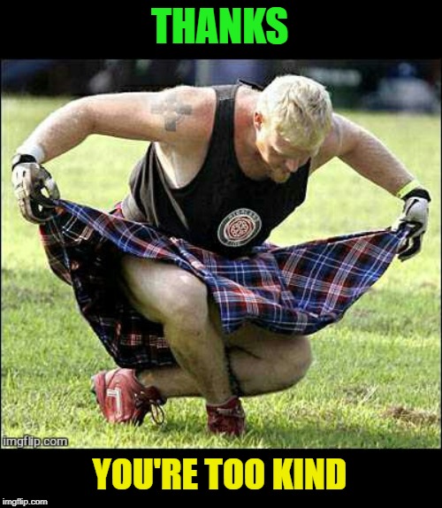 Bow | THANKS YOU'RE TOO KIND | image tagged in bow | made w/ Imgflip meme maker