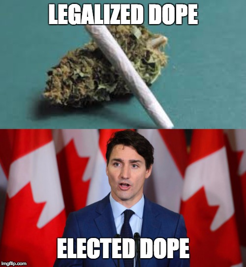LEGALIZED DOPE; ELECTED DOPE | image tagged in justin trudeau | made w/ Imgflip meme maker