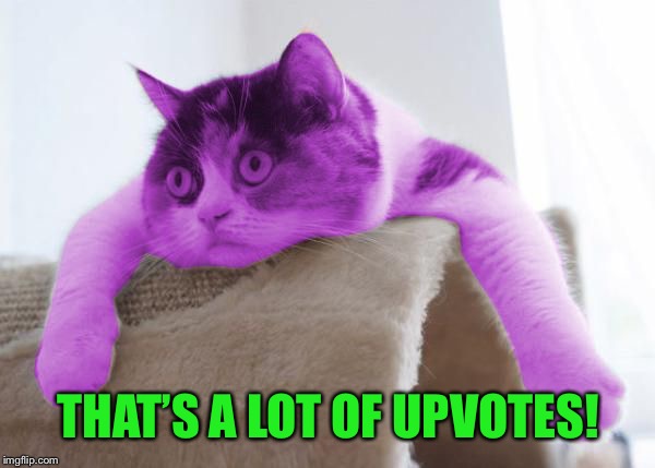 RayCat Stare | THAT’S A LOT OF UPVOTES! | image tagged in raycat stare | made w/ Imgflip meme maker