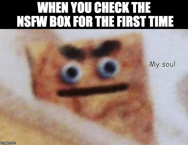 WHEN YOU CHECK THE NSFW BOX FOR THE FIRST TIME; My soul | image tagged in nsfw,fun,sfw | made w/ Imgflip meme maker