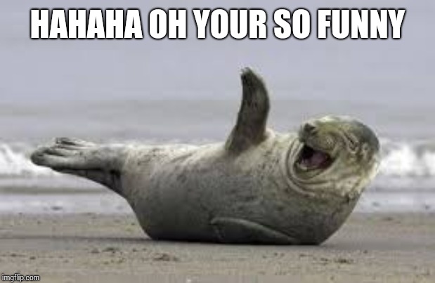 Walrus | HAHAHA OH YOUR SO FUNNY | image tagged in walrus | made w/ Imgflip meme maker