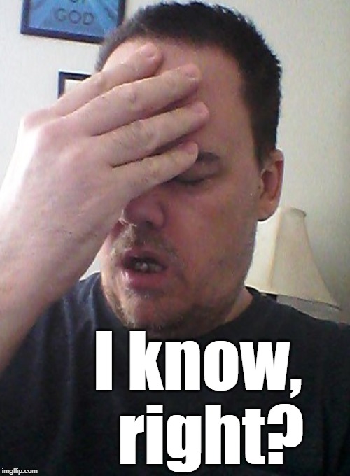 face palm | I know,  right? | image tagged in face palm | made w/ Imgflip meme maker