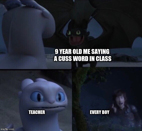 How to train your dragon 3 | 9 YEAR OLD ME SAYING A CUSS WORD IN CLASS; TEACHER                                                      EVERY BOY | image tagged in how to train your dragon 3 | made w/ Imgflip meme maker