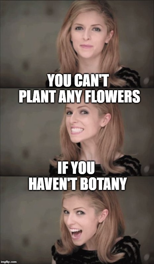 Bad Pun Anna Kendrick Meme | YOU CAN'T PLANT ANY FLOWERS; IF YOU HAVEN'T BOTANY | image tagged in memes,bad pun anna kendrick | made w/ Imgflip meme maker