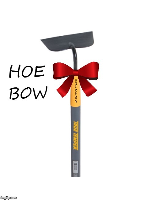 Hoe Bow | HOE; BOW | image tagged in hoe bow | made w/ Imgflip meme maker
